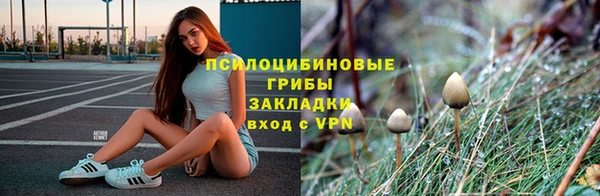 трава Переславль-Залесский